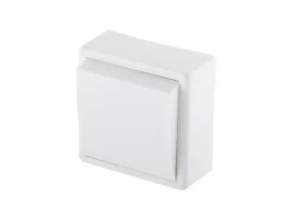 Выключатель одноклавишный (открытый, до 6А) ЮПИТЕР