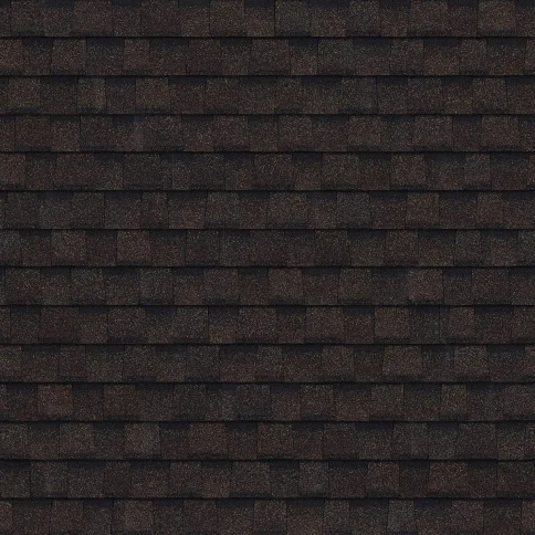 Шинглас Джаз Чикаго Гомеле