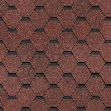 Шинглас Самба Рубин в Гомеле