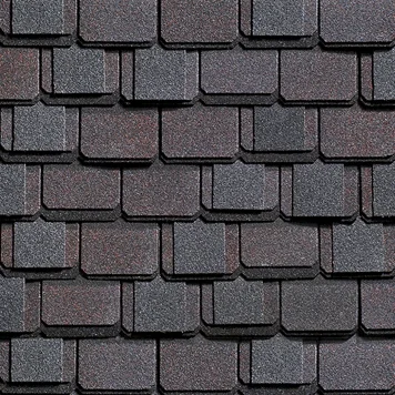 Шинглас Континент Азия в Гомеле